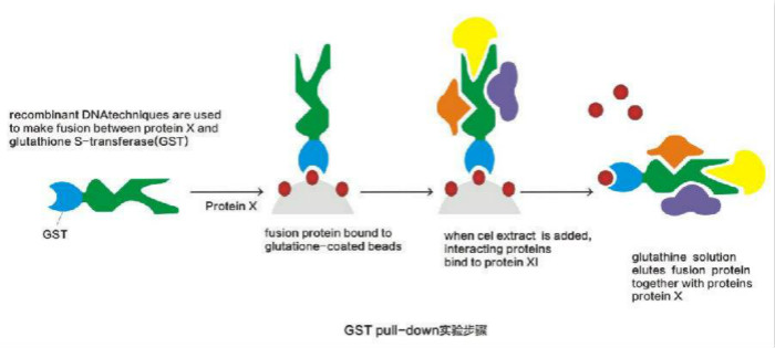 GST Pull-Down