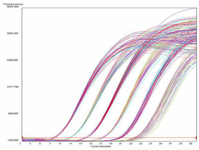 qRT-PCR